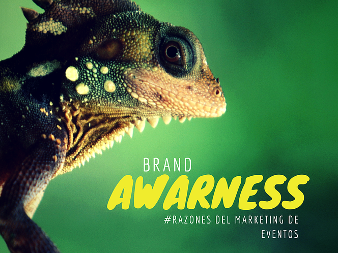 BRAND AWARNESS MARKETING DE EVENTOS