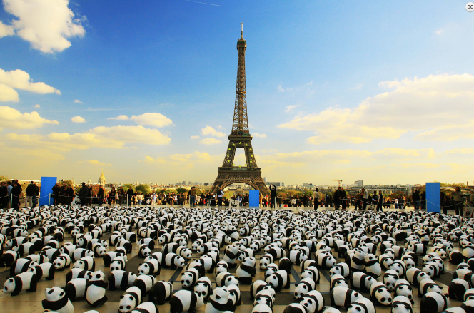 Street Marketing de WWF: Mil Seiscientos Pandas, ¿Son Demasiados?